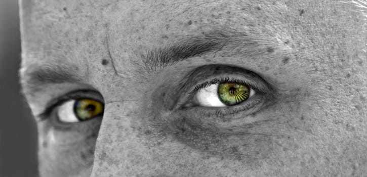 Green Eye