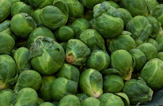 BRUSSELS SPROUTS