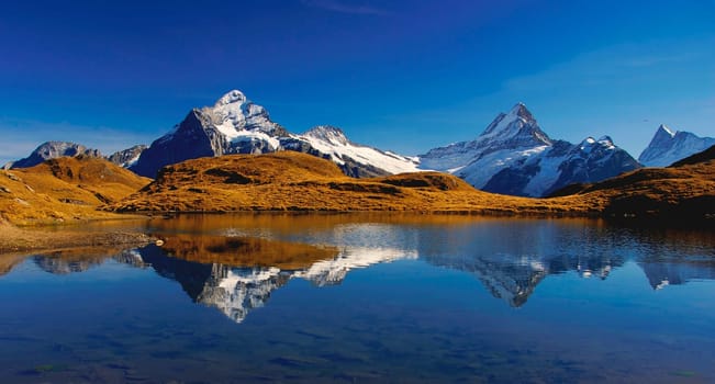 In the foreground the Bachalpsee,in the background rise the majestic Bernese Alps,covered with eternal ice. Over 100 km of scenic hiking trails for all levels lead through flower-strewn mountain meadows,past alpine rose fields and blueberry fields