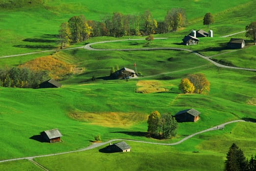 I don't think it looks that green there anymore... after the first onset of winter. We were able to enjoy the most beautiful side of autumn once again.......!:-)