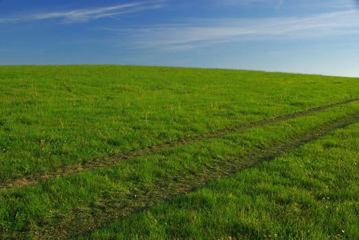 Meadow 04