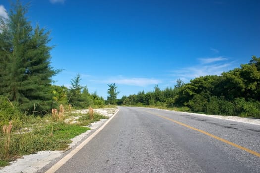 lonely road