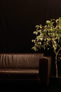 Do living rooms always have to be bright?