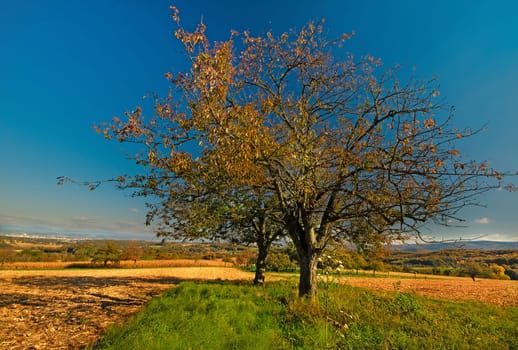 Sundgau landscape,wide country in Alsace,very close to Basel,in the distance to the left the city can still be recognized.