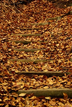 Fire staircase 06