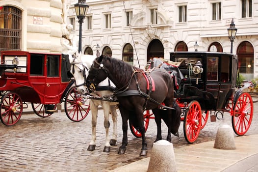 Horse-drawn carriage 5