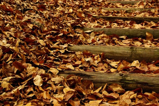 Fire Staircase 05