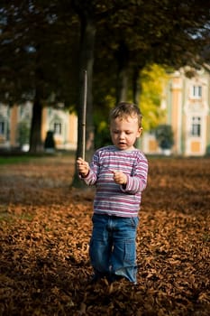 autumn