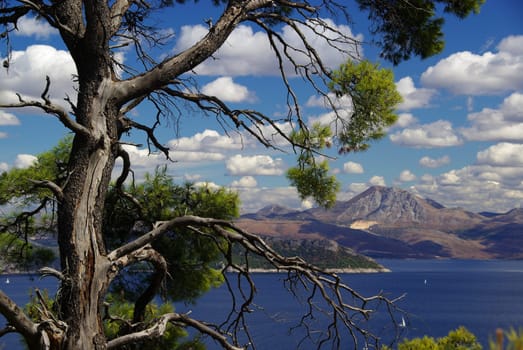 Elaphite Islands 12