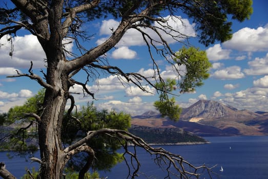 Elaphite Islands 13
