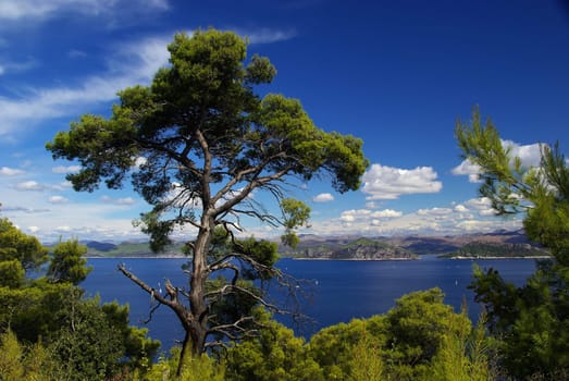 Elaphite Islands 15