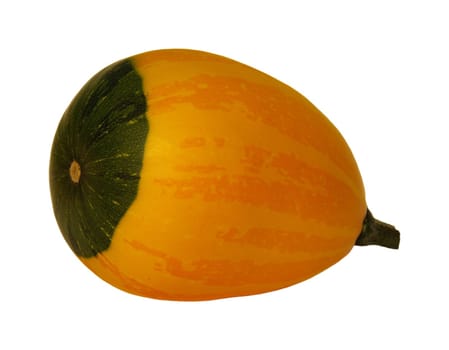 Ornamental Pumpkin 02