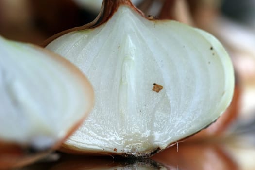 Onion half