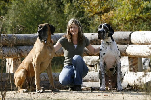 Woman with 2 great mastiffs