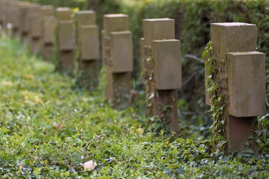 Military Cemetery (2)
