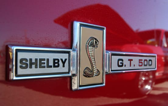 Shelby G.T. 500