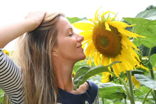 Summer,Sun,Sunflower Field