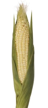 corn
