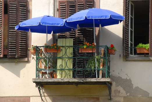blue umbrellas