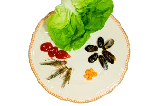 Bon Appetit II