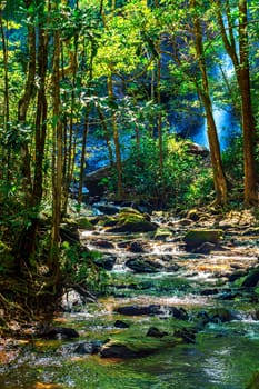 Dense rainforest vegetation crossed by the river amidst the rocks with the waterfall hidden in the background behind the trees in Minas Gerais, Brazil