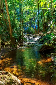 Dense rainforest vegetation crossed by the river amidst the rocks with the waterfall hidden in the background behind the trees in Minas Gerais, Brazil