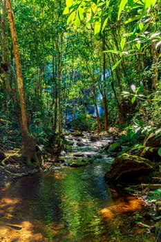 Dense rainforest vegetation crossed by the river amidst the rocks with the waterfall hidden in the background behind the trees in Minas Gerais, Brazil