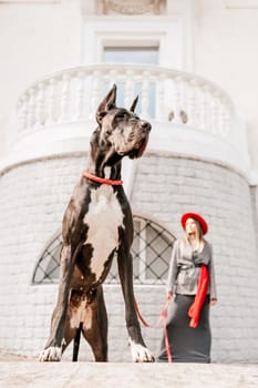 A photo of a woman and her Great Dane walking through a town, taking in the sights and sounds of the urban environment.