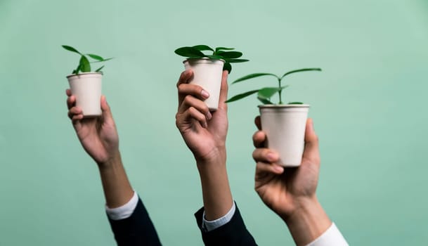 Business people hand holding plant pot on isolated background. Reforestation and eco-conscious regulation in green company to reduce CO2 emission for future environmental sustainability. Quaint