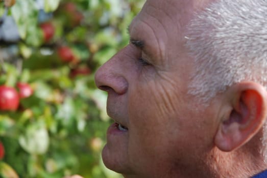 Senior with apple tree