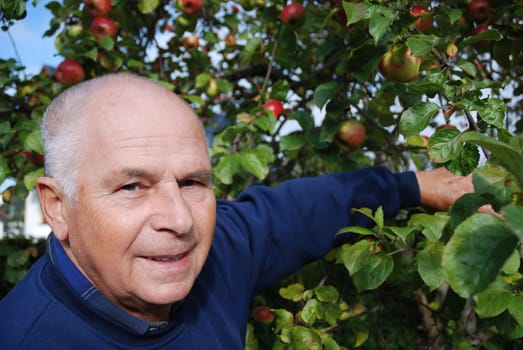 Senior with apple tree