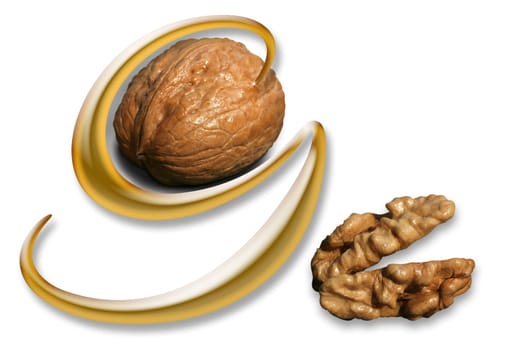 g-nut