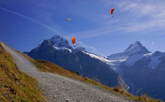 The feeling of floating in the thermals for hours must be indescribable