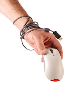 Computer Mouse