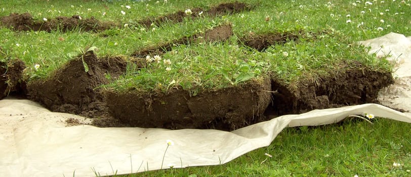 Lawn paving 01