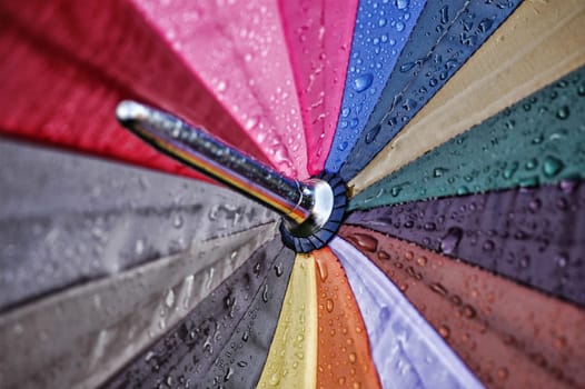 Rain Umbrella