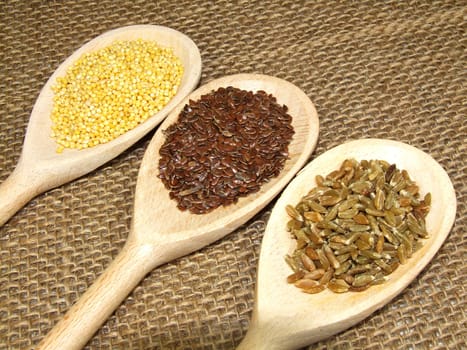 Grains