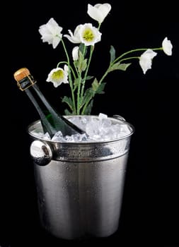 Champagne bucket