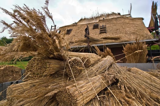 Thatched roof