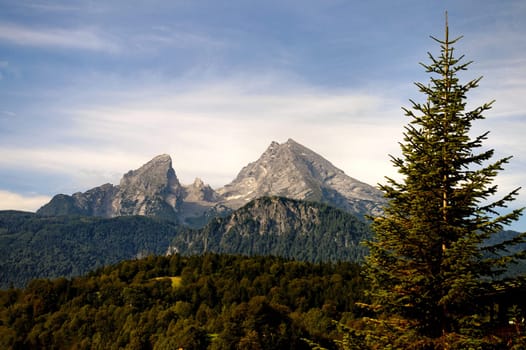 WATZMANN