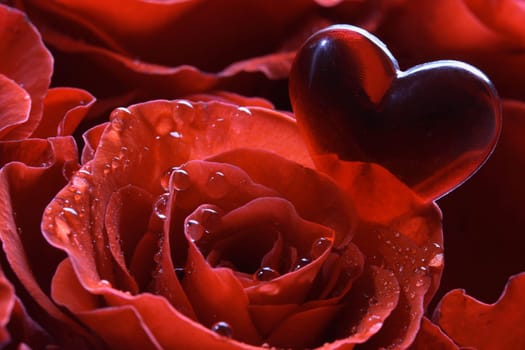Heart's Greeting