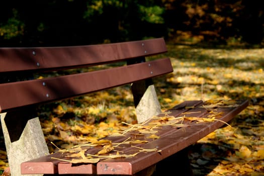 Autumnal