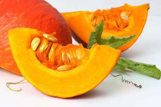 Hokkaido Pumpkin