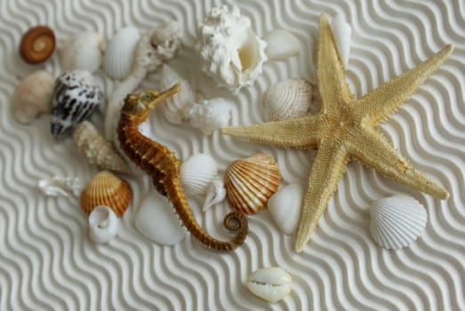 Decorative Finds