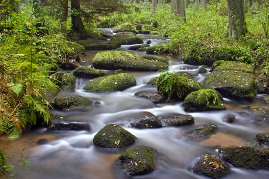 Torrent