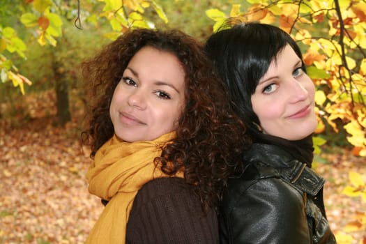 friends of fall