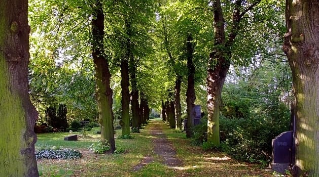 Cemetery Path