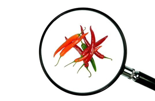 ChilliSpicy