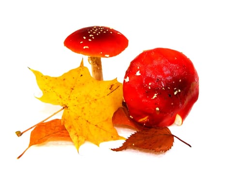 Toadstools