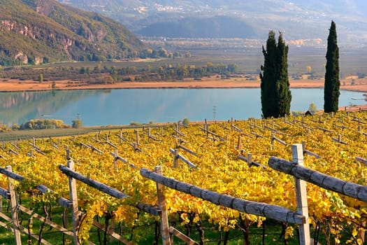 Autumn at Lake Caldaro